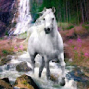 Meet your Posher, Katia